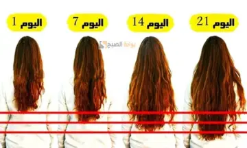 شعر الطول 10 سم بسرعه الصاروخ.. أفضل خلطات طبيعية لتطويل الشعر ومحاربة التساقط