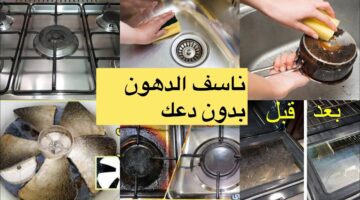 دهون الأواني والبوتاجاز