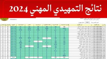 “epedu.gov.iq” رابط الاستعلام عن نتائج السادس الاعدادي المهني تمهيدي 2024 الدور الأول pdf من نتائجنا موقع وزارة التربية العراقية