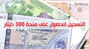 رابط التسجيل في المكرمة الملكية لأبناء العشائر في الأردن 2024