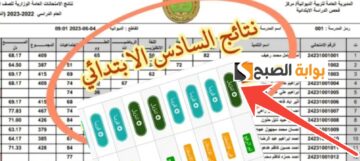 مبرروك….رابط نتيجة السادس الابتدائي العراق 2025 محافظة كربلاء بابل والبصرة وجميع المحافظات
