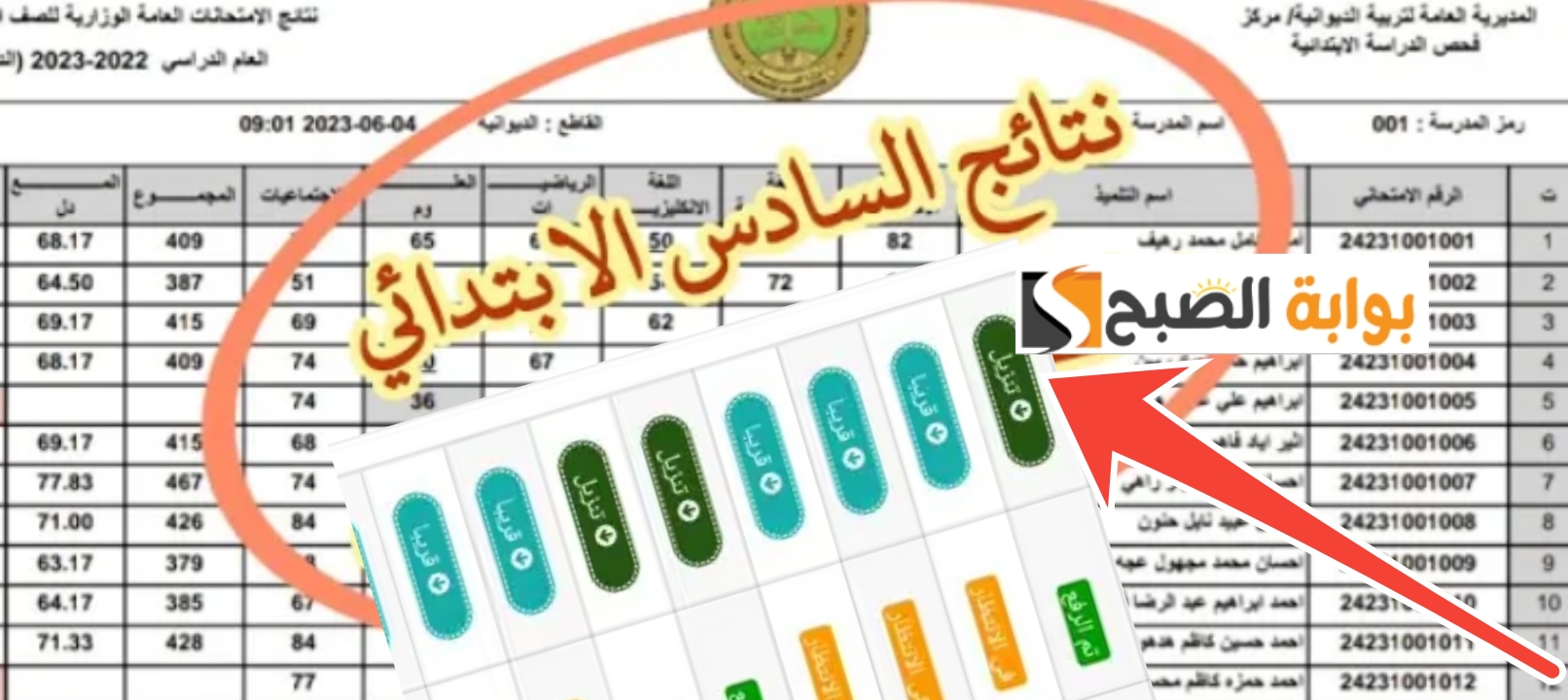 مبرروك….رابط نتيجة السادس الابتدائي العراق 2025 محافظة كربلاء بابل والبصرة وجميع المحافظات