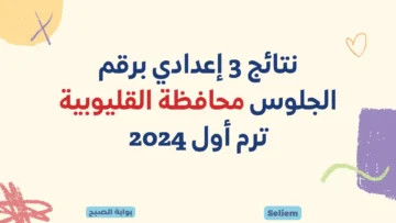 برقم الجلوس.. رابط نتيجة الشهادة الإعدادية محافظة القليوبية 2024 درجات 3 اعدادي بالقليوبية موقع المديرية التعليمية