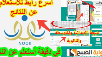 رابط نظام نور