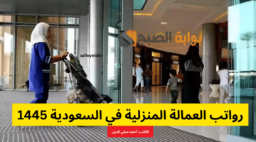 رواتب العمالة المنزلية في السعودية