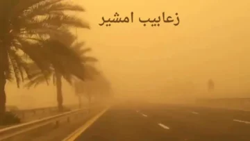 امشير جاي وشايلة هم تعب العيال كل شوية جبنالك الحل للحماية من كل أمراض شهر الزعابيب