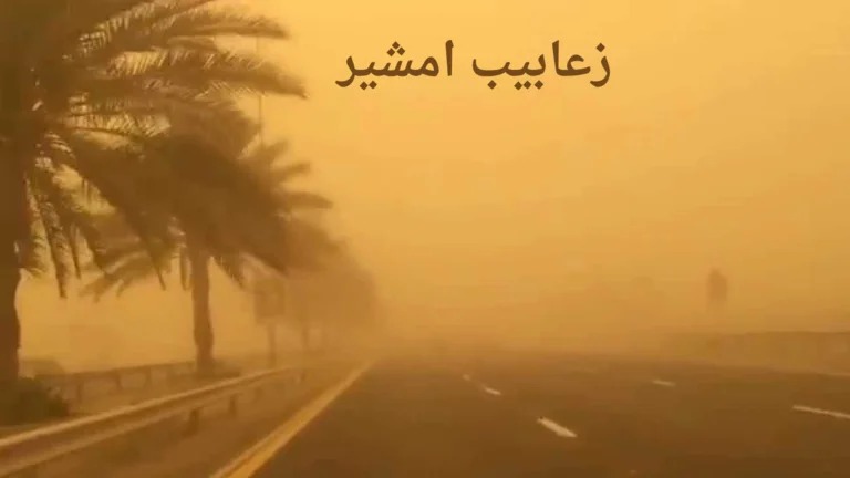امشير جاي وشايلة هم تعب العيال كل شوية جبنالك الحل للحماية من كل أمراض شهر الزعابيب 5 امشير جاي وشايلة هم تعب العيال كل شوية جبنالك الحل للحماية من كل أمراض شهر الزعابيب