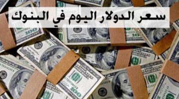 سعر الدولار أمام الجنيه اليوم في البنوك