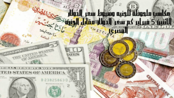 مكاسب ملحوظة للجنيه وهبوط سعر الدولار الاثنين 5 فبراير كم سعر الدولار مقابل الجنيه المصري