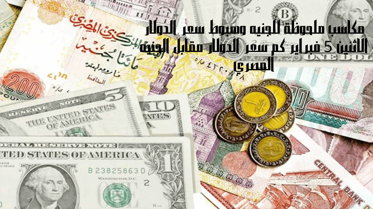 مكاسب ملحوظة للجنيه وهبوط سعر الدولار الاثنين 5 فبراير كم سعر الدولار مقابل الجنيه المصري 5 مكاسب ملحوظة للجنيه وهبوط سعر الدولار الاثنين 5 فبراير كم سعر الدولار مقابل الجنيه المصري