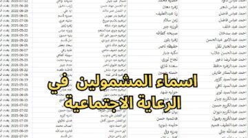 شروط الحصول على الدعم الاجتماعي في العراق