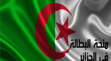 شروط منحة البطالة 2024 الجديدة