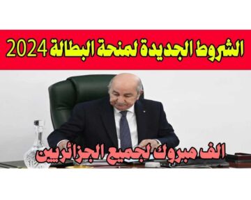 الحق سجل… لينك الدخول علي منحة البطالة في الجزائر anem dz 2024