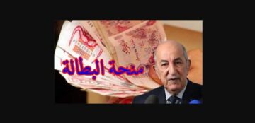 شروط تسجيل في منحة البطالة 2024 بالجزائر ورابط التقديم anem.dz