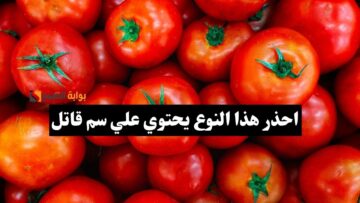 تحتوي على سم قاتل.. احذر شراء هذا النوع من الطماطم (صفر 25) تحذيرات وزارة الصحة