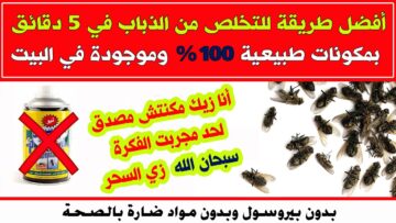 “انسي انك تشوفيهم تاني”.. حيلة ذكية للتخلص من الهاموش والذباب من منزلك نهائيا