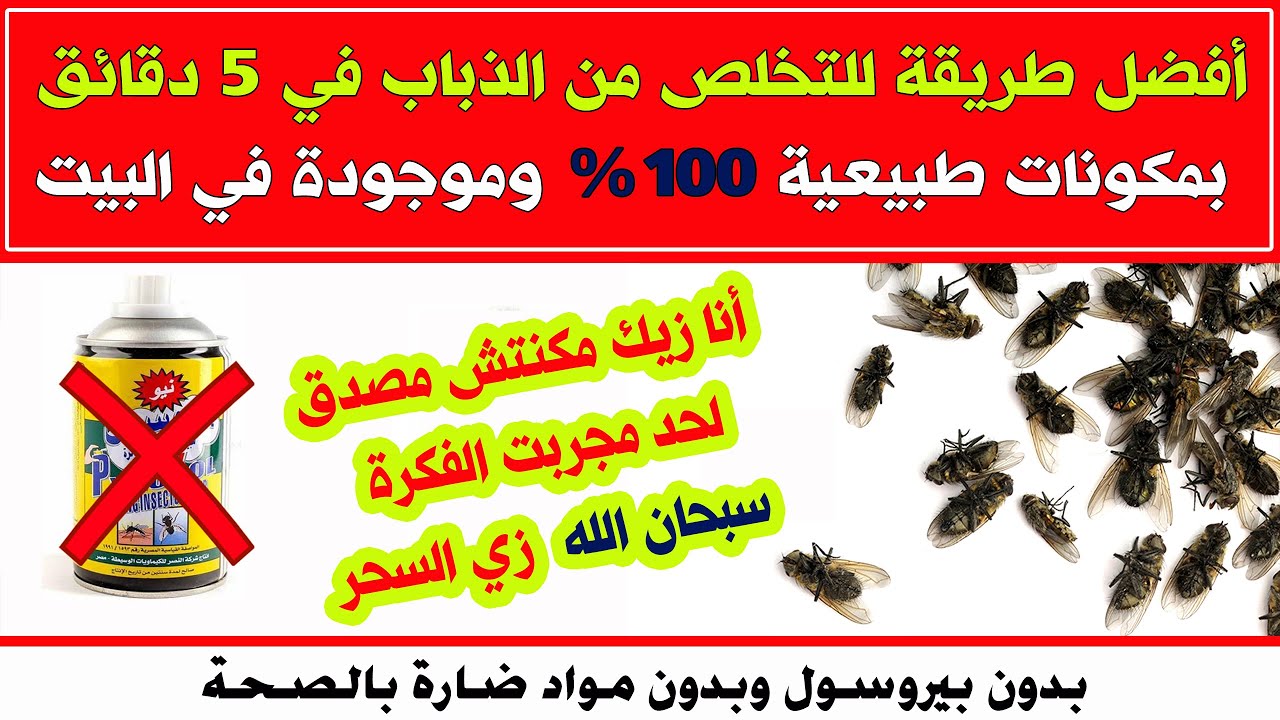 "انسي انك تشوفيهم تاني".. حيلة ذكية للتخلص من الهاموش والذباب من منزلك نهائيا 5 “انسي انك تشوفيهم تاني”.. حيلة ذكية للتخلص من الهاموش والذباب من منزلك نهائيا