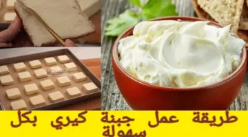 طريقة عمل الجبنة الكيري