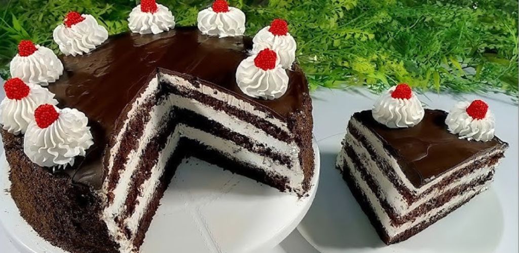جاتوه شاتوه في الخلاط بأسهل وصفة اقتصادية مش هتحتاج غير بيضتين بس 5 جاتوه شاتوه في الخلاط بأسهل وصفة اقتصادية مش هتحتاج غير بيضتين بس