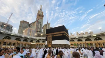 عاجل