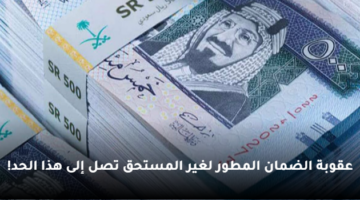 عقوبة الضمان المطور لغير المستحق تصل إلى هذا الحد