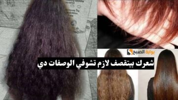 لو شعرك بيتقصف فعلاجك هنا بوصفات طبيعية وداخل كل بيت جربي مش هتندمي