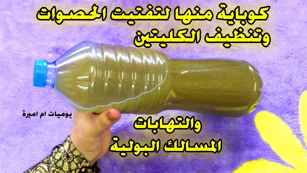 عشبة سحرية هتخلصك من حصوات الكلي في أيام معدودة جربها ومش هتندم 5 عشبة سحرية هتخلصك من حصوات الكلي في أيام معدودة جربها ومش هتندم