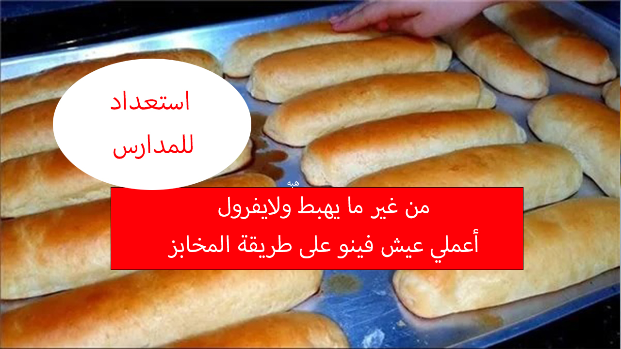 حضري نفسك للمدرسة الصبح وجهزي عيش فينو بأقل تكلفة من غير ما يفرول ولا يهبط