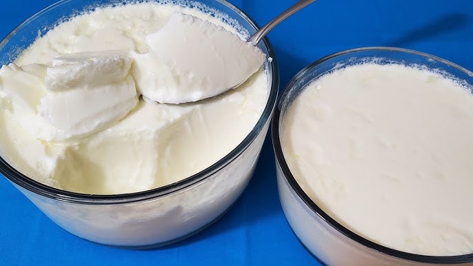فوائد تناول الزبادي غذاء صحي لجسم سليم بالقوام الكريمي الشهي 5 فوائد تناول الزبادي غذاء صحي لجسم سليم بالقوام الكريمي الشهي