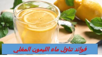 فوائد تناول ماء الليمون المغليص3