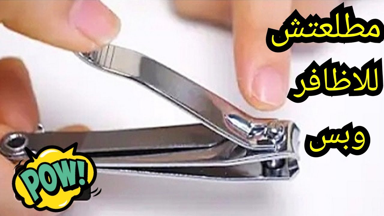 حامل للموبايل وفتاحة.. سبع استخدامات مذهلة للقصافة لن تخطر علي بالك 5 حامل للموبايل وفتاحة.. سبع استخدامات مذهلة للقصافة لن تخطر علي بالك