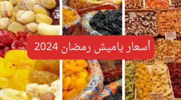 قمر الدين بكام؟…أسعار ياميش رمضان 20240215 113953 0000