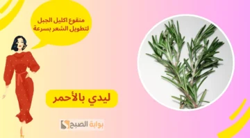 قناع إكليل الجبل لنمو الشعر وزيادة طوله