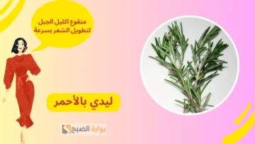 طريفة عمل قناع إكليل الجبل لنمو الشعر وزيادة طوله 7 سم في أقل من أسبوعين “هتنافسي الهنود”