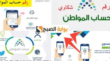 كم رقم حساب المواطن