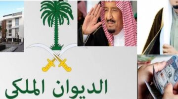 كيفية التقديم على طلب مساعدة مالية من الديوان الملكي 1445