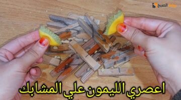 ليمون علي المشابك