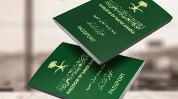 ما هي خطوات الاستعلام عن تأشيرة السعودية عبر منصة إنجاز برقم الجواز 1445؟