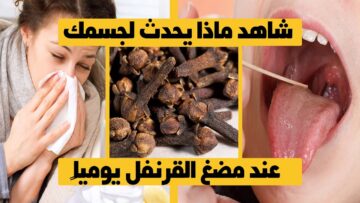 لن تصدق.. ماذا يحدث عند مضغ حبات القرنفل قبل النوم شوف المعجزات الي هتحصلك