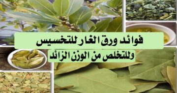 بدون رجيم ولا حرمان اليكى الحل الجبار..مشروب ورق الغار لإنقاص الوزن ونسف الدهون العنيدة في الجسم تمتعي بجسم مثالى