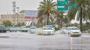مطر