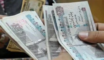 اعرف مرتبك كام..  مرتبات موظفي الحكومة بعد قرار الرئيس بزيادة الحد الأدنى للأجور