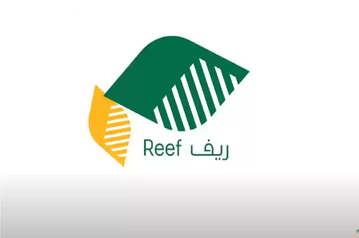 ما هو موعد ايداع دعم ريف لشهر فبراير 2024؟ التفاصيل وخطوات الاستعلام عن الدعم الريفي 2 ما هو موعد ايداع دعم ريف لشهر فبراير 2024؟ التفاصيل وخطوات الاستعلام عن الدعم الريفي