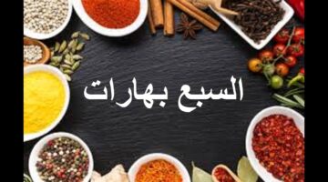 ناتتاتنانتانت