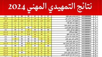 نتائج التمهيدي المهني 2024