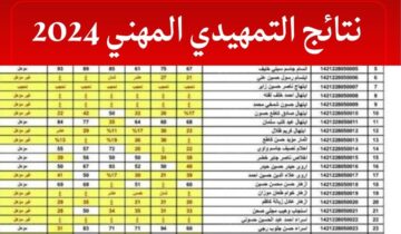 استخراج نتائج السادس المهني التمهيدي 2024 عبر موقع نتائجنا في جميع محافظات العراق