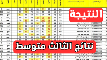 نتائج طلاب العراق moedu.gov.iq.. لينك الاستعلام عن نتائج الثالث متوسط 2024 الدور الأول بالرقم الامتحاني وزارة التربية العراقية