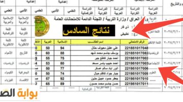 نتائج السادس الابتدائي الدور الأول التمهيدي