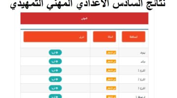 نتائج السادس الاعدادي المهني التمهيدي 2024