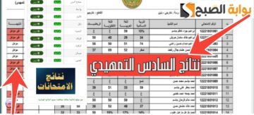 نتائج التمهيدي السادس الابتدائي 2025 الرابط الرسمي وخطوات الاستعلام